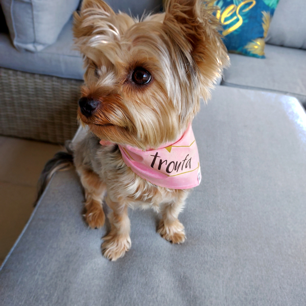 Μπαντάνα σκύλου με το όνομα του σκύλου σας, σε ροζ χρώμα, με χρυσά βελάκια, βαμβακερή προσωποποιημένη - χειροποίητα, μπαντάνες - 2
