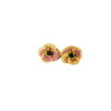 Tiny 20211209222055 63315951 anemones karfota skoularikia