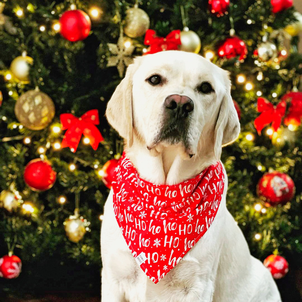 Μπαντάνα σκύλου χριστουγεννιάτικη, Limpertad, σε τρία μεγέθη (Extra small,Small,Medium,Large) - σκυλάκι, χριστουγεννιάτικο, μπαντάνες - 3