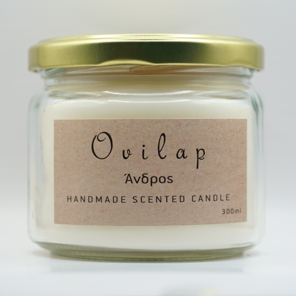 Άνδρος - Χειροποίητο αρωματικό κερί 300ml - χειροποίητα, αρωματικά κεριά, φυτικό κερί