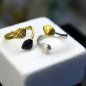 Ασημένιο δαχτυλίδι με χρυσό κοχύλι 14K σε ασήμι. - επιχρυσωμένα, επάργυρα, κοχύλι, plexi glass, αυξομειούμενα - 2