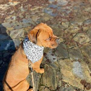 Viscose gray dog & cat bandana animal print, 2 μεγέθη (S,M) - χειροποίητα, μπαντάνες - 3