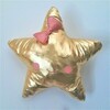 Tiny 20220210103619 24d5fcb8 chryso asteri kremasto