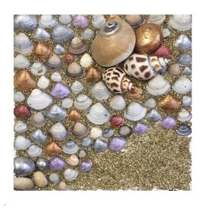 Αμμουδιά με κοχύλια κολάζ σε καμβά με κοχύλια και άμμο 20X20 cm - διακοσμητικά