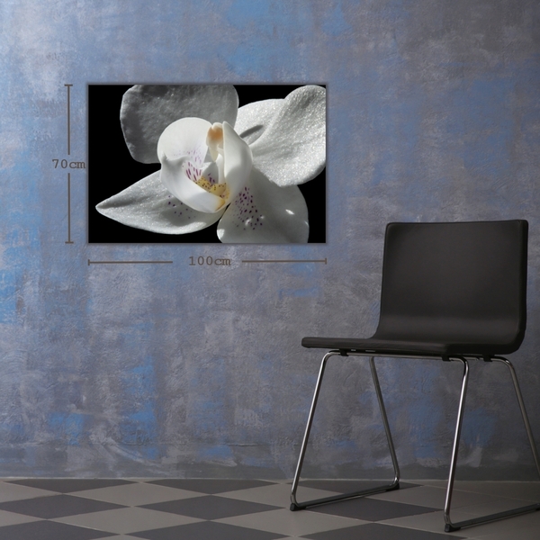 Κάδρο 30*20 | Λευκή ορχιδέα | Φωτογραφία Εκτυπωμένη σε Καμβά τελαρωμένο - πίνακες & κάδρα, διακόσμηση σαλονιού, ανοιξιάτικα λουλούδια - 4