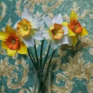 Ναρκισσος - δώρο, διακοσμητικά, ανοιξιάτικα λουλούδια - 2