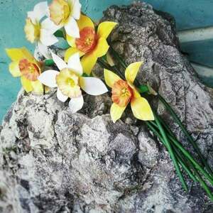 Ναρκισσος - δώρο, διακοσμητικά, ανοιξιάτικα λουλούδια - 3