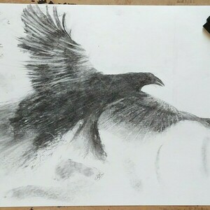 Raven 30×42cm (charcoal on paper) - πίνακες & κάδρα - 2