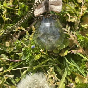 Παραμυθένιο μενταγιόν γυάλινος θόλος με αληθινούς σπόρους Dandelion - μακριά, μπρούντζος, μενταγιόν - 4