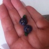 Tiny 20220507162234 3d47e94c cheiropoiita blueberry frosted