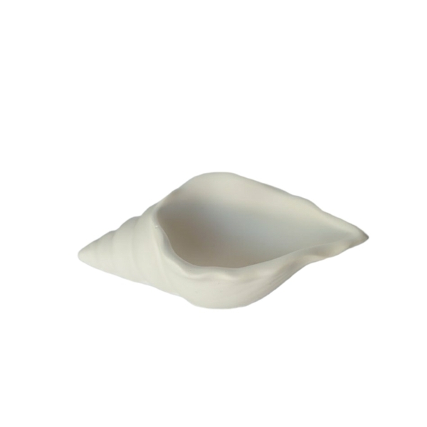 Διακοσμητικό κοχύλι λευκό από οικολογική ρητίνη 6x13x3 cm/ jesmonite seashell - ρητίνη, διακοσμητικά