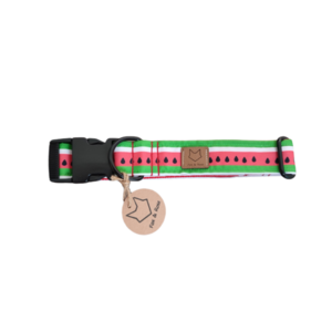 Watermelon Dog Collar Large