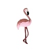 Tiny 20220607043325 13f5f38c flamingo roz vamvakero