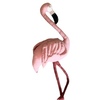 Tiny 20220607043326 a7810e35 flamingo roz vamvakero