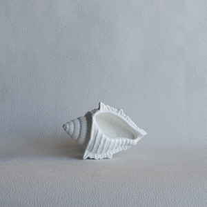 Διακοσμητικό Κοχύλι από τσιμέντο Λευκό 18cm | Concrete - διακόσμηση, κοχύλι, τσιμέντο, πιατάκια & δίσκοι