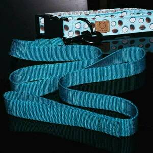 Coconut Craze Dog Collar Medium/Small - 2