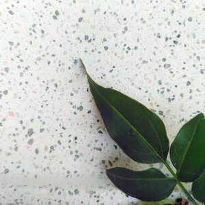 Tσιμεντένιος δίσκος terrazzo 1.6 Χ 9.5 Χ 18.2 //ozara T - design, τσιμέντο, σκυρόδεμα - 5