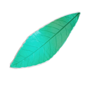 Διακοσμητικό πήλινο φύλλο πράσινο 30Χ11εκ. ΜΗΤΕΡΑ apois - πηλός, φύλλο, διακοσμητικά, Black Friday