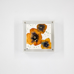 Κουτί από plexi glass λευκή βάση- διάφανο καπάκι και ζωγραφισμένους πανσέδες ( πορτοκαλί) - κουτί, οργάνωση & αποθήκευση, plexi glass, λουλουδάτο - 2