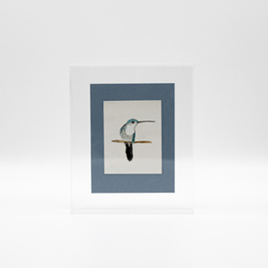 Πίνακας από plexi glass με πουλί και γαλάζιο φόντο - πίνακες & κάδρα, plexi glass, πίνακες ζωγραφικής