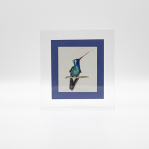 Πίνακας από plexi glass με πουλί και μπλε φόντο - πίνακες & κάδρα, plexi glass, πίνακες ζωγραφικής