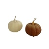 Tiny 20220831143820 11a3c8f1 classic pumpkin size