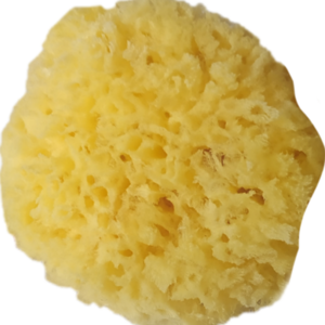 Joy Natural sea sponge 5 ίντσες - 2