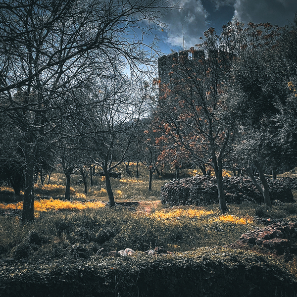 Printable Art|Photography "Castle in the back". Ψηφιακό αρχείο 3400 × 2550dpi - 3