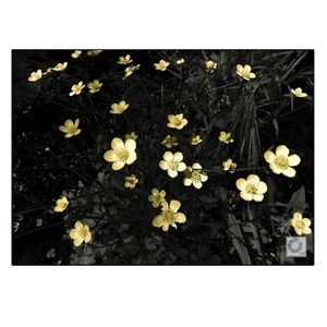Printable Art|Photography "Yellow flowers". Ψηφιακό αρχείο - καλλιτεχνική φωτογραφία