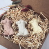 Tiny 20220929094130 83fe1bd1 ceramic body vase