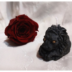 Custom made Aslan λιοντάρι κερί - vegan κεριά - 3