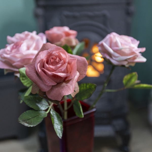 Ροζ Τριαντάφυλλα - διακοσμητικά