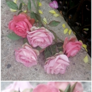 Ροζ Τριαντάφυλλα - διακοσμητικά - 5