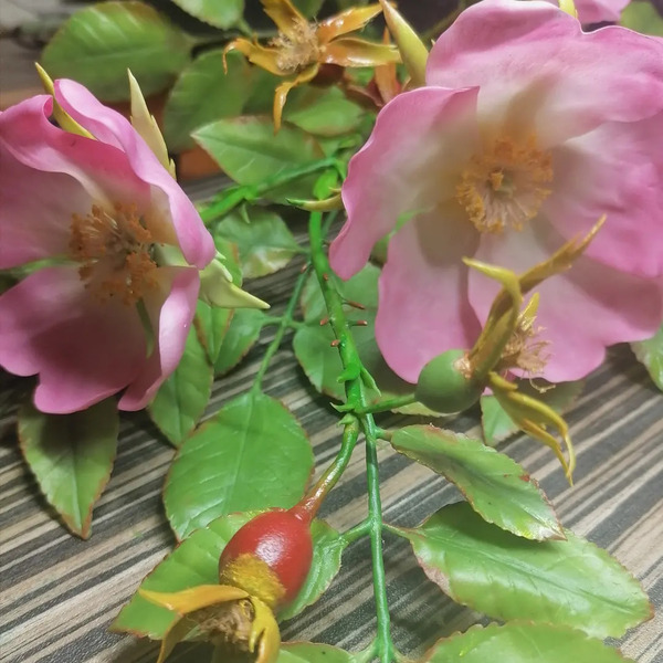 Αγρια τριανταφυλλια - λουλούδι, δωρο για επέτειο - 4