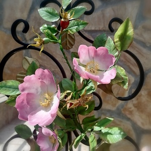 Αγρια τριανταφυλλια - λουλούδι, δωρο για επέτειο - 5