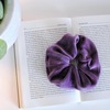 Tiny 20221020093427 e888fb39 velvet scrunchies 2