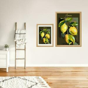 Lemons - Botanical collection - αφίσες