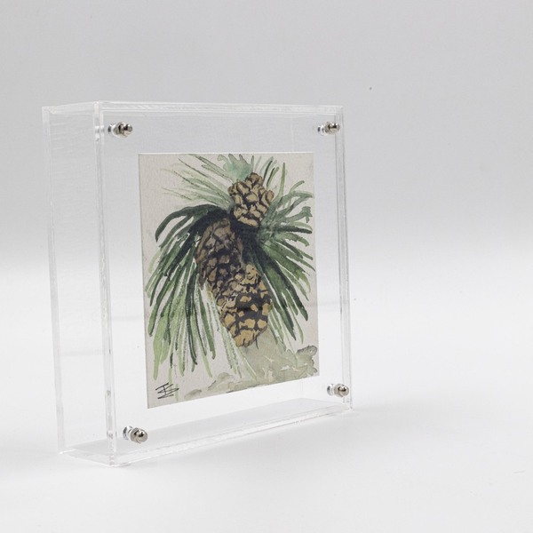 Κουτί διακοσμητικό plexi glass με κλαδί πεύκου - οργάνωση & αποθήκευση, plexi glass, κουκουνάρι