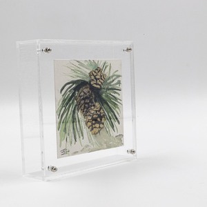 Κουτί διακοσμητικό plexi glass με κλαδί πεύκου - οργάνωση & αποθήκευση, plexi glass
