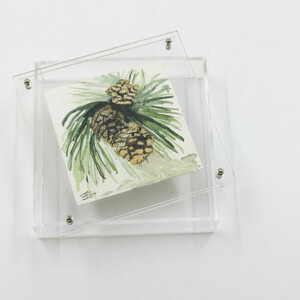 Κουτί διακοσμητικό plexi glass με κλαδί πεύκου - οργάνωση & αποθήκευση, plexi glass, κουκουνάρι - 2