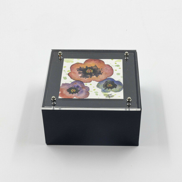 Κουτί διακοσμητικό από plexi glass με πανσέδες - οργάνωση & αποθήκευση, plexi glass