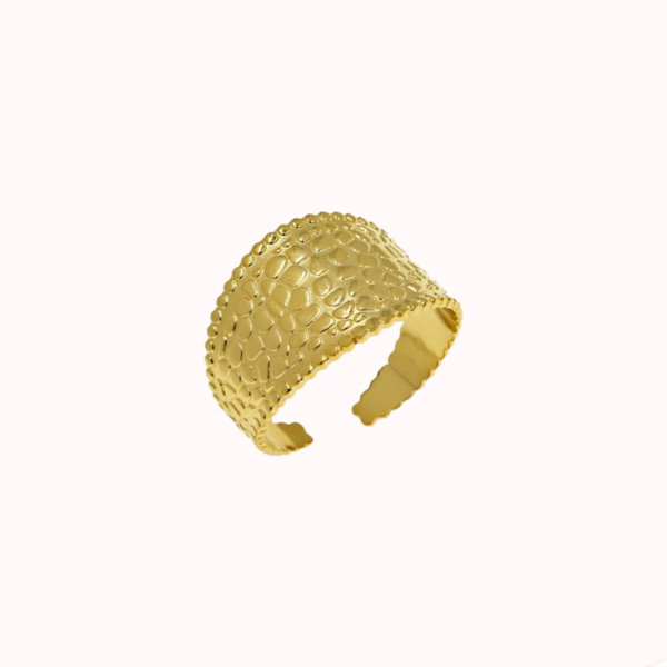 Δαχτυλίδι Ντεγκραντέ - επιχρυσωμένα, ατσάλι, αυξομειούμενα