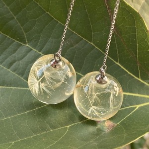 Σκουλαρίκια από υγρό γυαλί με αληθινούς σπόρους dandelion - γυαλί, μοντέρνο, κρεμαστά, εποξική ρητίνη - 2