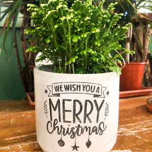 Χριστουγεννιατικο κασπω απο τσιμεντο "we wish merry christmas" - τσιμέντο, κασπώ, χριστουγεννιάτικα δώρα - 3