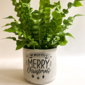 Χριστουγεννιατικο κασπω απο τσιμεντο "we wish merry christmas" - τσιμέντο, κασπώ, χριστουγεννιάτικα δώρα - 4