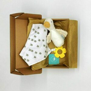 Unisex Baby Gift Box - Little Goose - λούτρινα, δώρα για μωρά, μασητικό, σετ δώρου, σαλιάρες μπαντάνες
