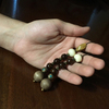 Tiny 20221222095657 8f65caf3 mpegleri me bodhi