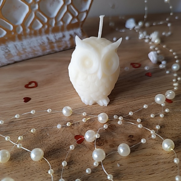 Φυτικό κερί καρύδας σε σχέδιο κουκουβάγια (45γρ) - αρωματικά κεριά, διακοσμητικά, δώρο έκπληξη, 100% φυτικό - 2