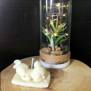 Φυτικό κερί σε σχήμα μωράκι - αρωματικά κεριά - 2