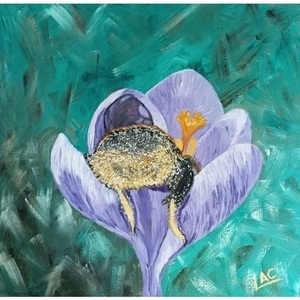 Tired bumblebee napping in Crocus flower. (Λάδι νερού σε καμβά) 40x40. - πίνακες & κάδρα, λουλούδια, πίνακες ζωγραφικής
